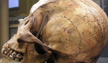 Francia devolverá a la Argentina los restos de un tehuelche que estaban en un museo