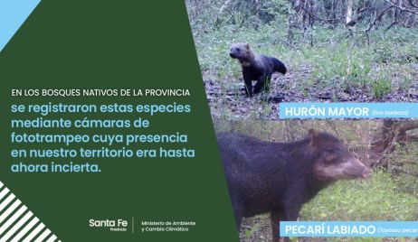 SE REGISTRARON DOS ESPECIES ANIMALES NUNCA ANTES VISTAS EN LA CUÑA BOSCOSA