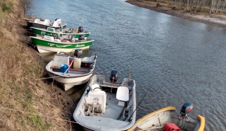 Abigeato:Los Pumas arrestaron 12 personas y secuestraron armas, embarcaciones y camionetas.
