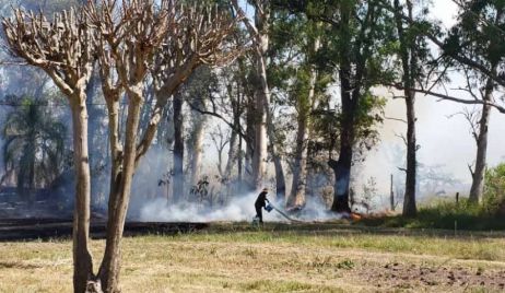 Incendio en el Vivero de Santa Felicia, fue controlado rápidamente