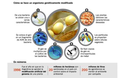 Presentaron una demanda colectiva por el uso de transgénicos