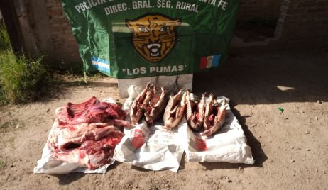 PROCEDIMIENTOS DE LA DIRECCION GENERAL DE SEGURIDAD RURAL “LOS PUMAS