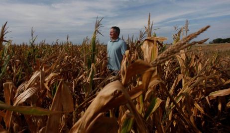 Sequía histórica en Argentina: se agrava el retraso en la siembra de soja y maíz