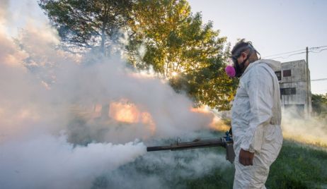 LA PROVINCIA ACTUALIZÓ EL INFORME EPIDEMIOLÓGICO POR CASOS DE DENGUE