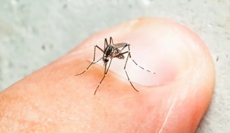 Se confirmaron 124 nuevos casos de dengue