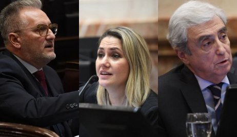 Ley Bases: cómo votaron los senadores santafesinos