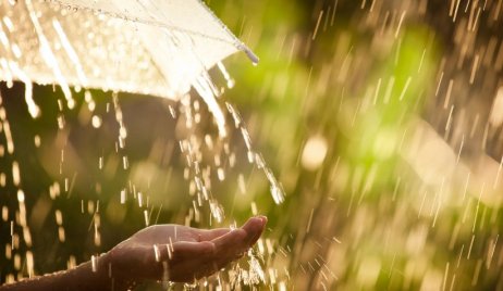 DATOS DE LLUVIA