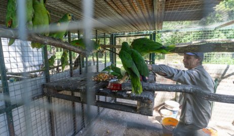 	 Ambiente: nuevas especies llegaron a Santa Fe para ser reinsertados en sus hábitats