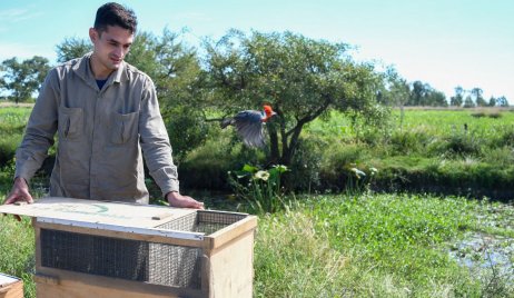 Biodiversidad: Se realizaron 1.400 rescates de animales