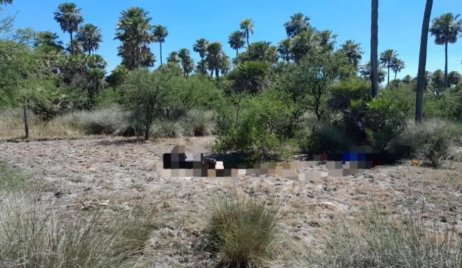 Encontraron un cuerpo sin vida dentro de un campo de Nicanor Molinas