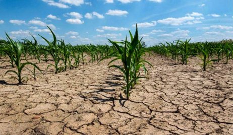 El gobierno analiza ampliar la declaración de emergencia agropecuario