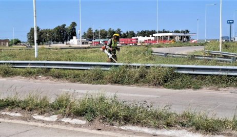 VIALIDAD NACIONAL INICIO EN TOSTADO EL CORTE DE PASTO DE LA RN 95