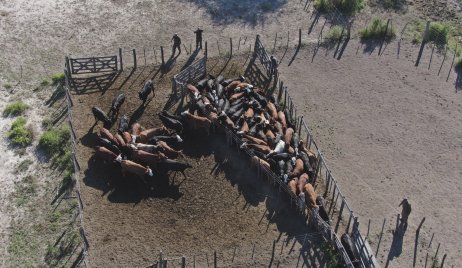 FORTÍN OLMOS: tras el rápido accionar 