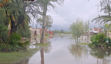 Informe sobre los evacuados