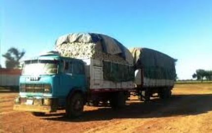 Secuestro de 29.000 kgs de algodón en Gato Colorado
