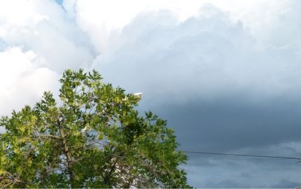 PRONOSTICO METEOROLOGICO PARA ESTE FIN DE SEMANA