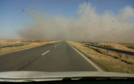 INCENDIO DE PATIZALES