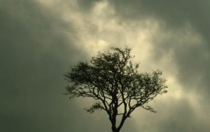 PRONOSTICO CON TEMPERATURAS EN BAJA