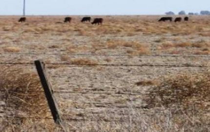 Solicitaron declarar la emergencia agropecuaria para departamentos del norte provincial