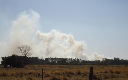 Voraz incendio forestal en Calchaquí
