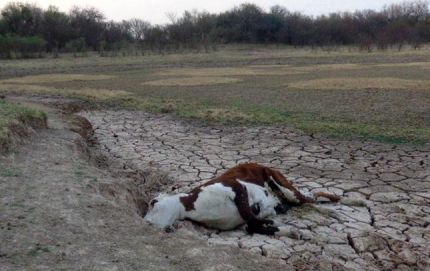 Comunidades del departamento Vera muy comprometidas por falta de agua