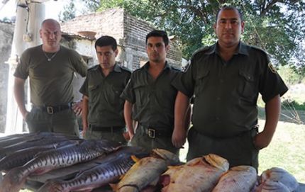 300 kilos de pescado en mal estado