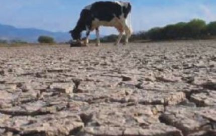 La provincia declaró la emergencia agropecuaria