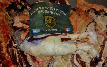 SECUESTRAN 220 KGS DE CARNE VACUNA EN ROMANG