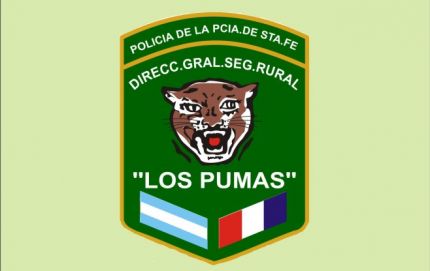 PERSECUCION Y SECUESTRO DE UN ARMA DE FUEGO
