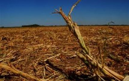 “No hay agua para consumo humano”, denuncian desde el norte de Santa Fe