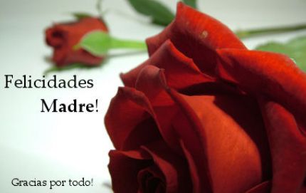 FELIZ DIA A TODAS LAS MADRES 