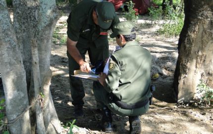 OPERATIVO CONTRA DEPREDADORES DE LA FAUNA SILVESTRE Y AUTOCTONA POR PARTE DE LA GUARDIA RURAL DE ROMANG