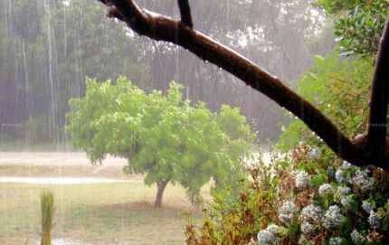 REGISTRO DE LLUVIA EN EL DEPARTAMENTO VERA