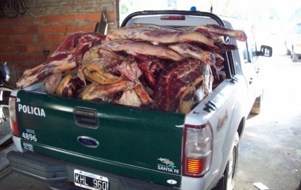  VILLA OCAMPO: secuestro de mil kgs de carne vacuna.