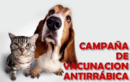 CAMPAÑA DE CASTRACION Y VACUNACION ANTIRRABICA.