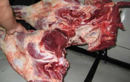 SECUESTRO DE CARNE - GUARDIA RURAL LOS PUMAS