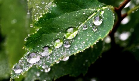 40 mm. el registro de lluvia en Vera