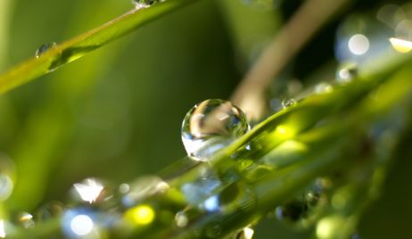 Pronóstico climático extendido