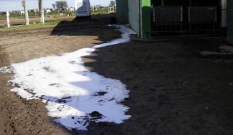 Desecharían 3 millones de litros de leche en la cuenca santafesina