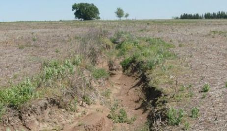 Erosión: El terrible avance de la agricultura sobre la ganadería