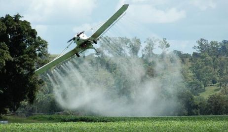 Agroquímicos: audiencia en el Senado y una caravana para “frenar esta locura”