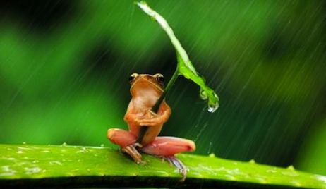 Registro de lluvia en Vera: 9 mm.