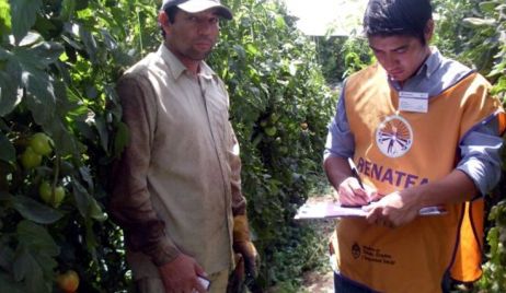 DURANTE EL PERIODO 2012-2015 EL RENATEA OTORGÓ MÁS DE 300.000 LIBRETAS DE TRABAJO AGRARIO