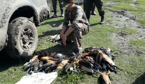 Secuestro de 200 patos por parte de la Guardia Rural Los Pumas