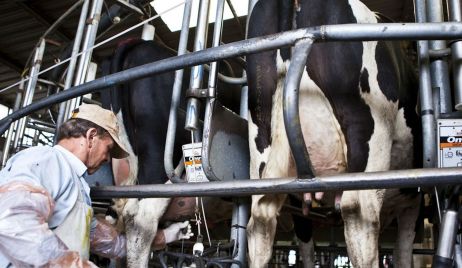 Tamberos celebraron la compra del excedente de leche por parte del Gobierno