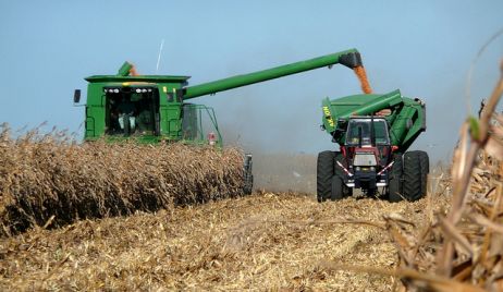 Ministerio de Agroindustria estima que la cosecha de maíz podría llegar a 37 millones de toneladas