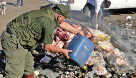 Abigeatos reiterados en San Javier