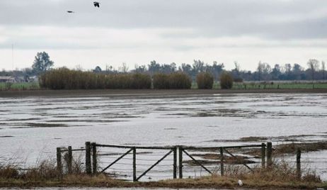 Hay más de 2,3 millones de hectáreas afectadas por las lluvias