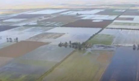 Casi toda la provincia en emergencia agropecuaria