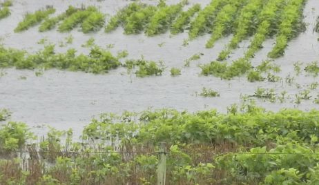 Por las lluvias, 